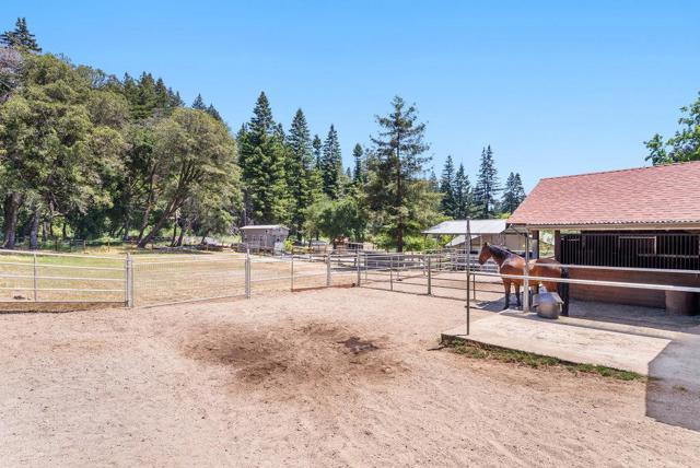 50 Nichols Drive, Santa Cruz CA: https://media.crmls.org/mediaz/1bbed272-3b44-4f72-a0d5-b69e422e6a13.jpg
