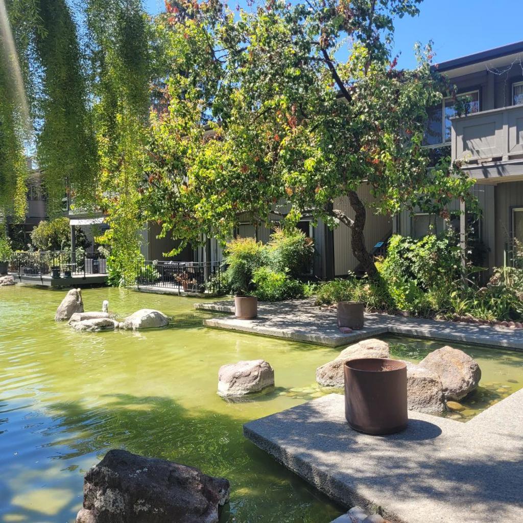 https://media.crmls.org/mediaz/1bc4ee4d-0cdd-4846-b07a-4dac5edfb5db.jpg?preset=X-Large