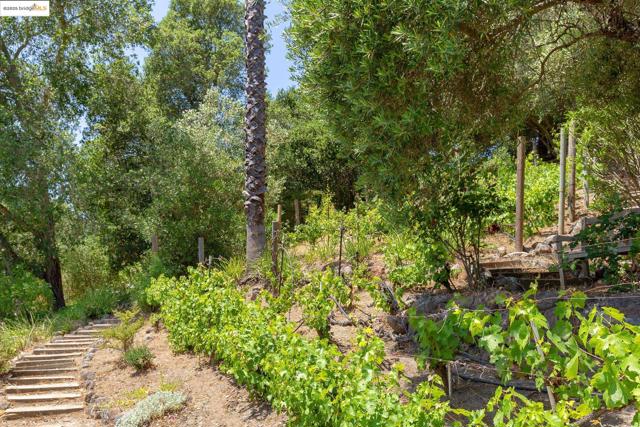 151 La Espiral, Orinda CA: https://media.crmls.org/mediaz/1bc7d093-eb9c-45d7-b3b7-0e687b68a3fb.jpg