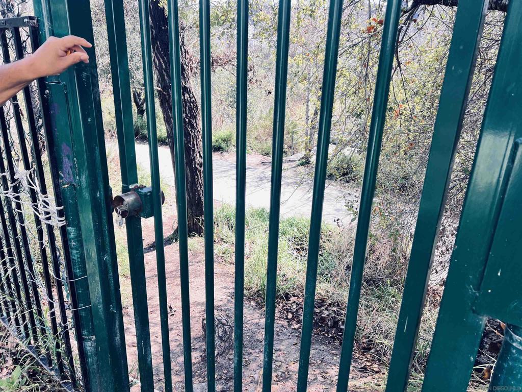 8043 Caminito De Pizza - photo 15