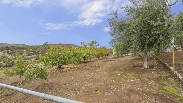 Detail Gallery Image 40 of 49 For 39260 Grassy Rd, Temecula,  CA 92592 - 3 Beds | 2 Baths