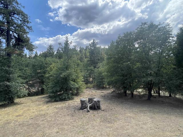 Detail Gallery Image 17 of 20 For Lot 516 El Centro Tract, Mount Laguna,  CA 91948 - 2 Beds | 1 Baths