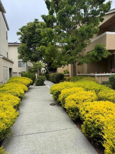356 Everson Drive, Santa Cruz CA: https://media.crmls.org/mediaz/1be340b6-e098-4205-8ddc-8c8bb964194a.jpg