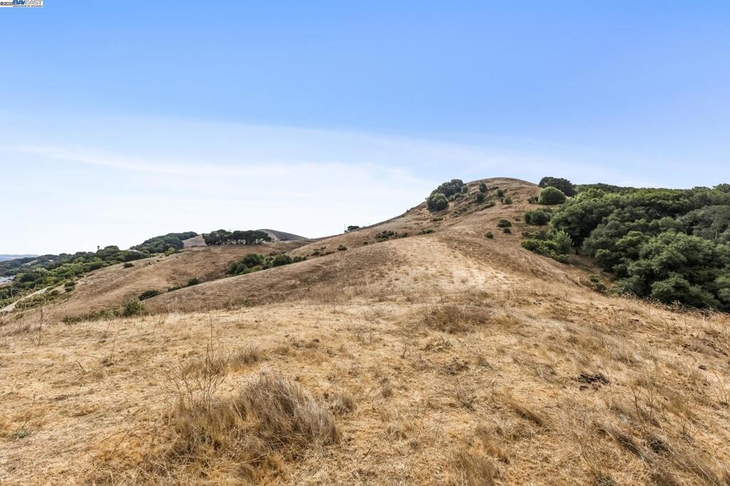 https://media.crmls.org/mediaz/1be5b5ce-7508-4886-a514-01bacfc59a4d.jpg?preset=X-Large