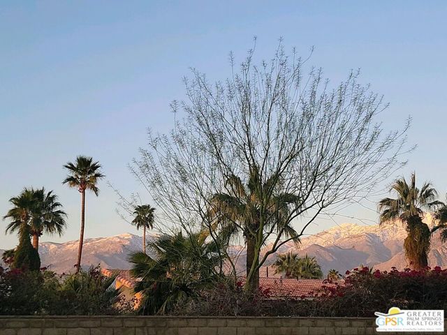 3155 E Ramon Road, Palm Springs CA: https://media.crmls.org/mediaz/1becb25e-4ffa-4f02-96c5-726b8cc1cac1.jpg