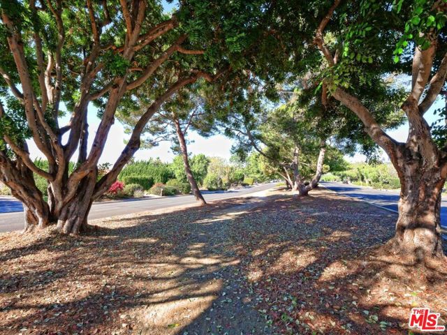 2837 Palos Verdes Drive West, Palos Verdes Estates, California 90274, 4 Bedrooms Bedrooms, ,1 BathroomBathrooms,Residential,Sold,Palos Verdes Drive West,24461625 2837 Palos Verdes Drive West, Palos Verdes Estates, California 90274, 4 Bedrooms Bedrooms, ,1 BathroomBathrooms,Residential,Sold,Palos Verdes Drive West,24461625