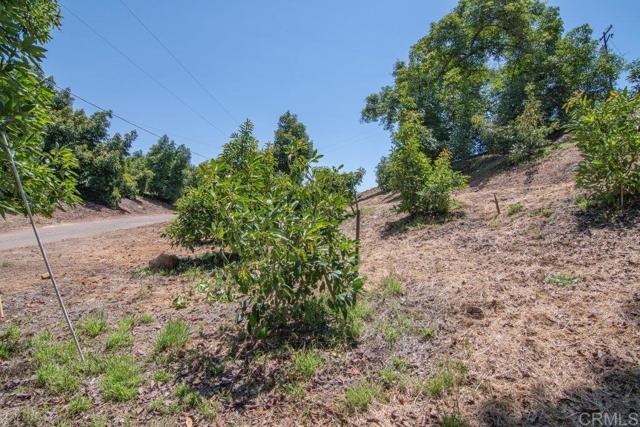 Image 63 of 75 For 3137 Valley Parkway