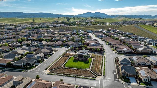 1835 Riesling Cir, Brentwood CA: https://media.crmls.org/mediaz/1bfcf62a-8bb7-4a76-9b5a-82219ece8811.jpg