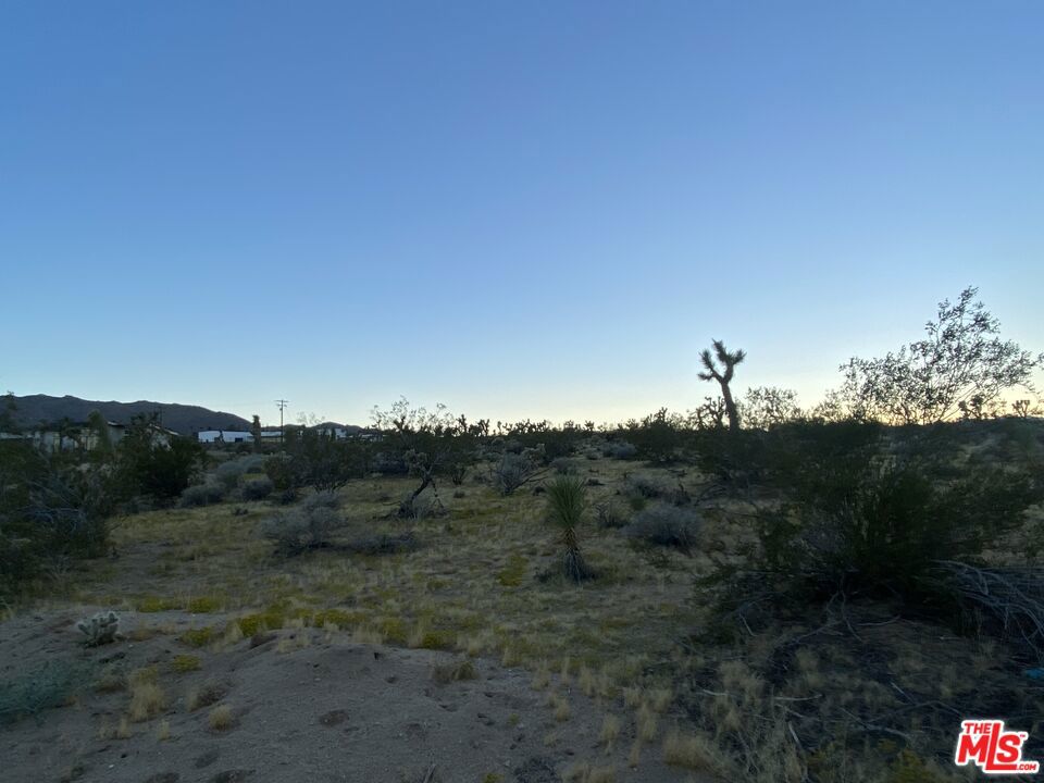 MLS #24370359 image #2