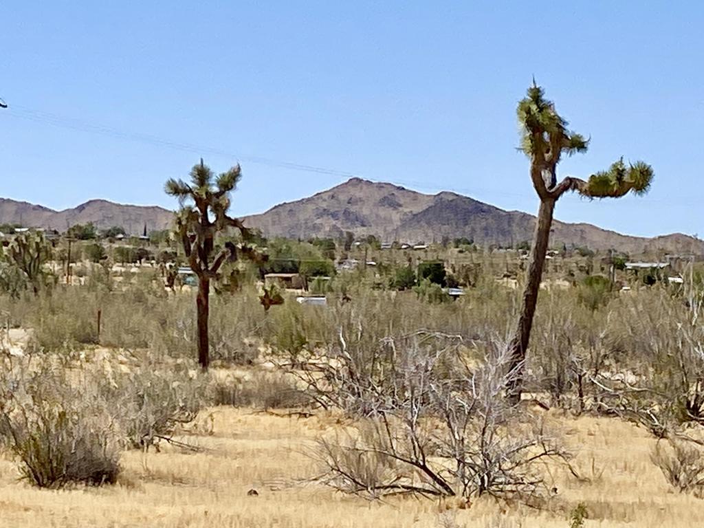 https://media.crmls.org/mediaz/1bfe7788-176f-4e01-b2c7-fc3ec2bb4539.jpg?preset=X-Large