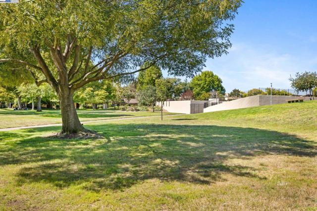 3315 Willis Lane, Alameda CA: https://media.crmls.org/mediaz/1c018c05-21b9-49ab-9854-c40555ec06fb.jpg