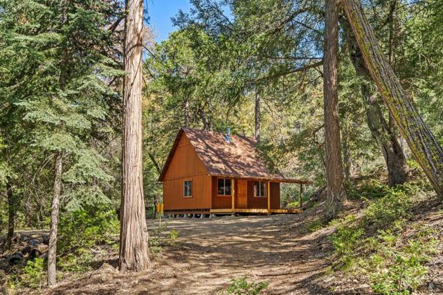 Detail Gallery Image 7 of 30 For 14 +/- Acres Palomar Divide Truck Trl, Palomar Mountain,  CA 92060 - – Beds | – Baths