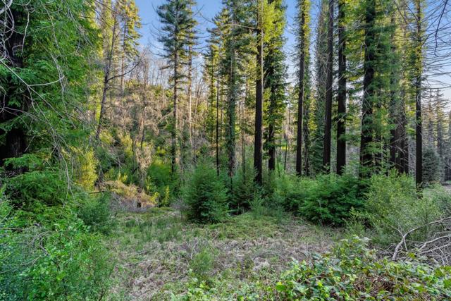 21200 Big Basin Way, Boulder Creek CA: https://media.crmls.org/mediaz/1c1a7fc2-13e6-4c77-88fa-c7919e5db1e2.jpg