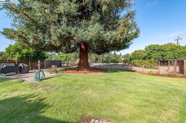 505 Joyce St, Livermore CA: https://media.crmls.org/mediaz/1c1ea3a1-cfff-4cfd-ab84-9776ac39fe89.jpg