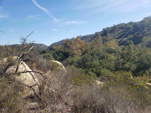 0 Daily, Fallbrook, California 92028, ,Residential Land,For Sale,Daily,NDP2206949