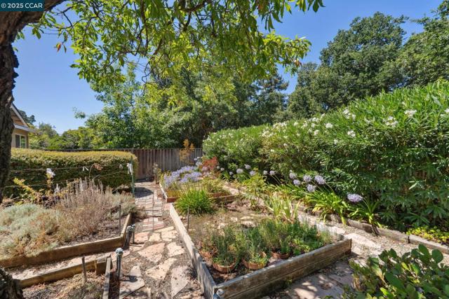 149 Rock Oak Court, Walnut Creek CA: https://media.crmls.org/mediaz/1c424e06-50f9-449b-9a15-295e97c76b79.jpg