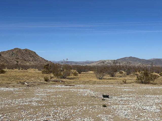 Detail Gallery Image 47 of 58 For 2774 Kickapoo Trl, Landers,  CA 92285 - 1 Beds | 1/1 Baths