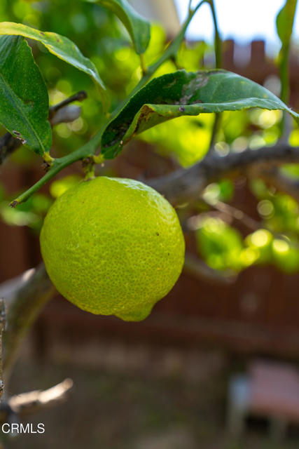 Detail Gallery Image 37 of 47 For 127 Glen Ellen Dr, Ventura,  CA 93003 - 3 Beds | 1 Baths