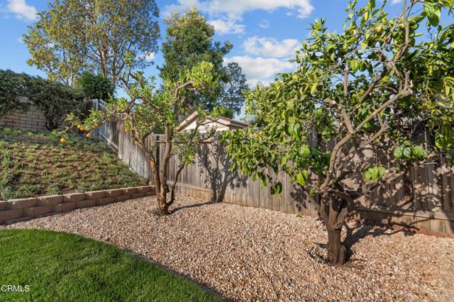 Detail Gallery Image 32 of 49 For 2437 Kimberly Ave, Camarillo,  CA 93010 - 3 Beds | 2 Baths