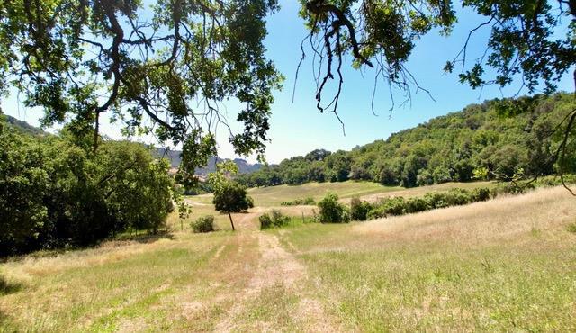 MLS #ML82009486 image #15