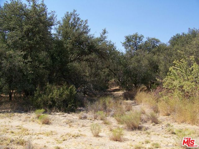 0 Apn 147-080-005, New Cuyama CA: https://media.crmls.org/mediaz/1c5d29a1-9c1f-41ab-8ed9-25403e0e6564.jpg