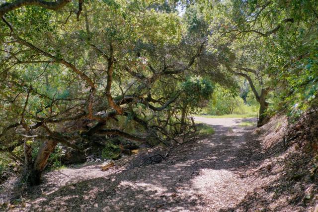 6821 Silver Creek Road, San Jose CA: https://media.crmls.org/mediaz/1c6e39d4-642f-42d5-8f78-50620852d5fc.jpg