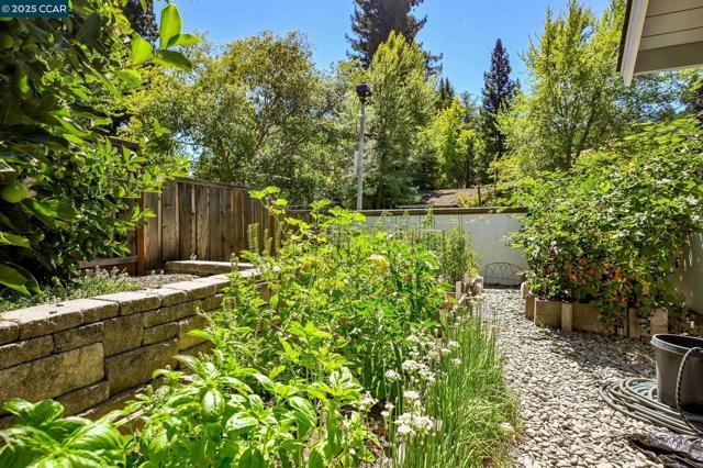 1023 White Gate Rd, Alamo CA: https://media.crmls.org/mediaz/1c7c774f-4a4e-48bc-b802-b3c18dcf3501.jpg