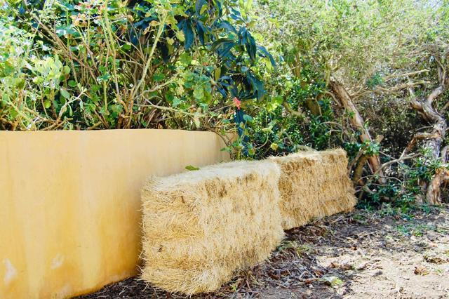 Detail Gallery Image 49 of 58 For 736 Mar Vista Dr, Vista,  CA 92081 - 1 Beds | 1 Baths