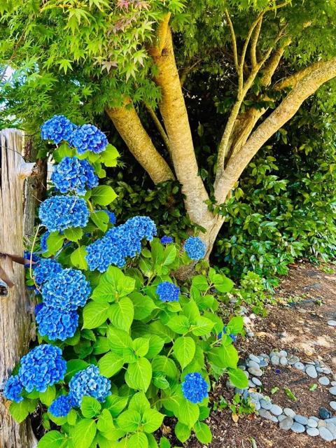 Image 10 of 24 For 520 Redwood Road