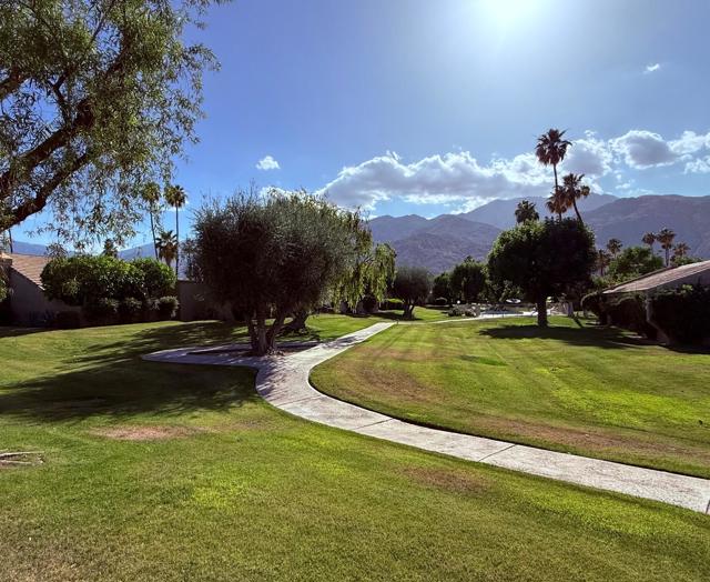 1665 S La Reina Way, Palm Springs CA: https://media.crmls.org/mediaz/1ca9502e-8141-4307-9952-cff534c065e0.jpg