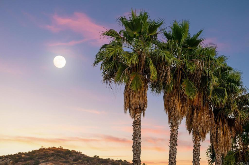 https://media.crmls.org/mediaz/1cb2e9af-5a3b-4380-a631-cfc285660369.jpg?preset=X-Large