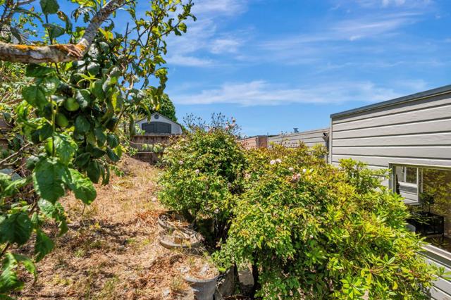 319 Sweeny Street, San Francisco CA: https://media.crmls.org/mediaz/1cc73d5f-3f0a-4bf6-9080-4f14b622c144.jpg