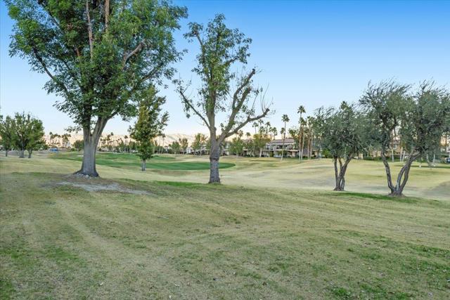 55566 Southern, La Quinta CA: https://media.crmls.org/mediaz/1cd007d4-97c4-4b67-9034-0fd3a8439593.jpg