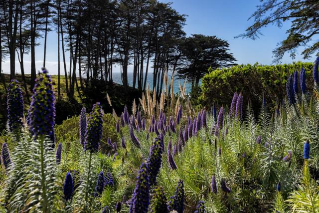 315 Seascape Resort Drive, Aptos CA: https://media.crmls.org/mediaz/1cd4eed9-5558-420c-bc9c-7c9d195125f1.jpg