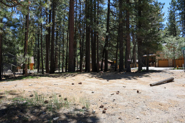 689 Summit Boulevard, Big Bear CA: https://media.crmls.org/mediaz/1cd92a41-6c2f-4c22-bcb1-23cf7c1e91a3.jpg