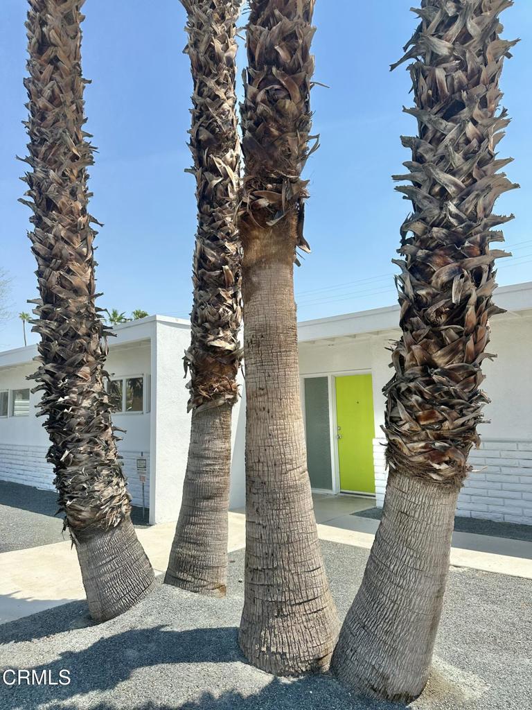 https://media.crmls.org/mediaz/1cd9b17d-cd8a-4dfb-8e80-9d4b64ad435c.jpg?preset=X-Large