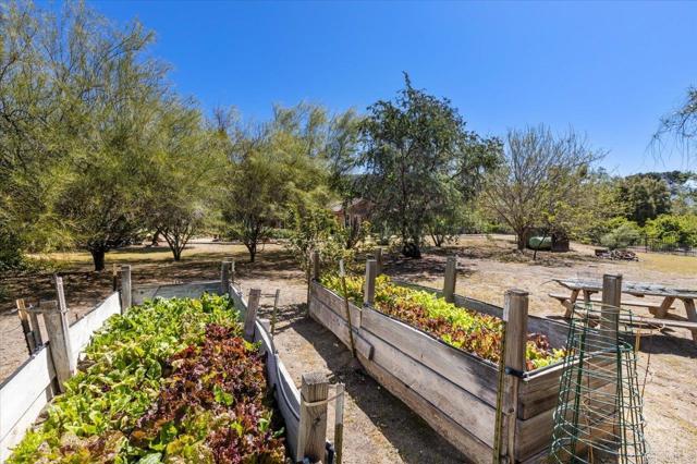 Detail Gallery Image 37 of 47 For 16270 Pauma Valley Dr, Pauma Valley,  CA 92061 - 4 Beds | 3 Baths