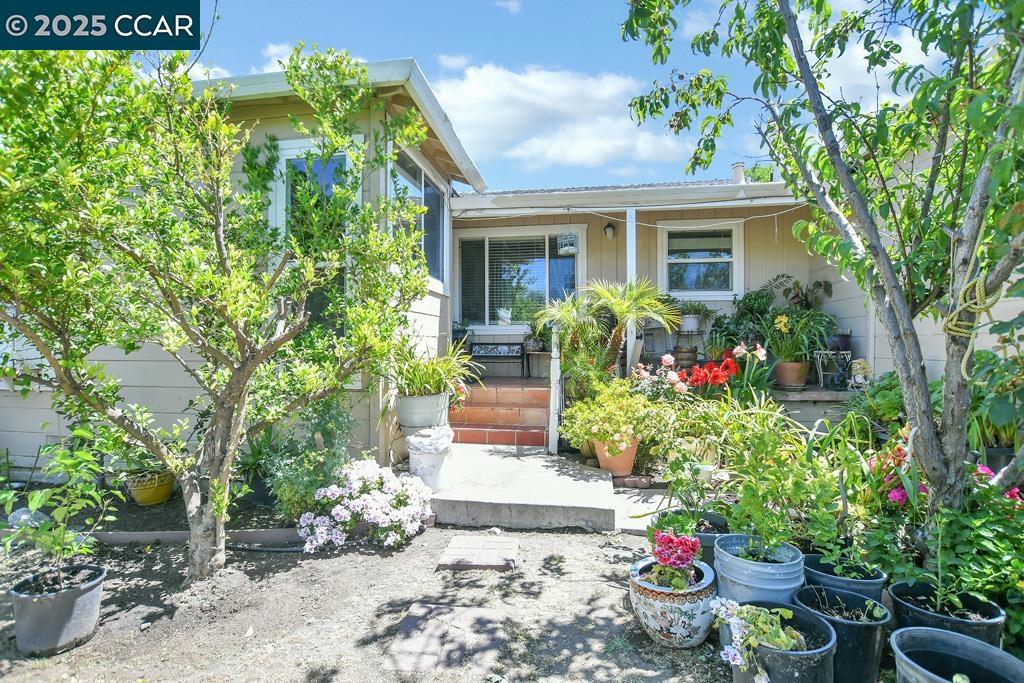 71 Ambrose Ave