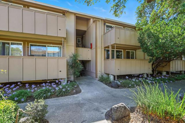 2452 W Bayshore Road, Palo Alto CA: https://media.crmls.org/mediaz/1cf48f75-fca4-4633-80e0-69647d03bcdd.jpg