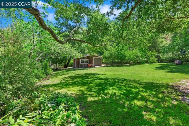 15 Cascade Ln, Orinda CA: https://media.crmls.org/mediaz/1d02a4d7-3881-45ab-8249-c23809771990.jpg
