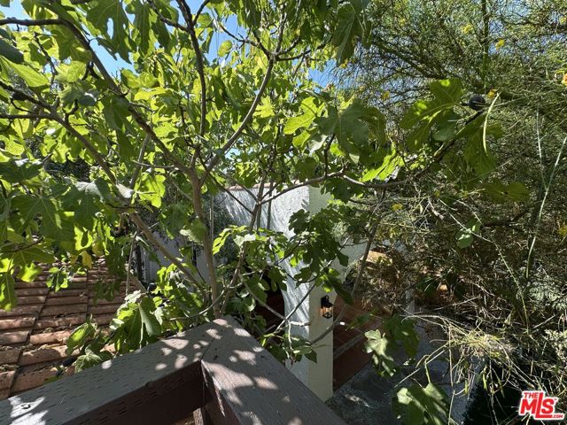 636 N Curson Avenue, Los Angeles CA: https://media.crmls.org/mediaz/1d09b39c-d45e-4fad-b386-218a1cc99d1a.jpg