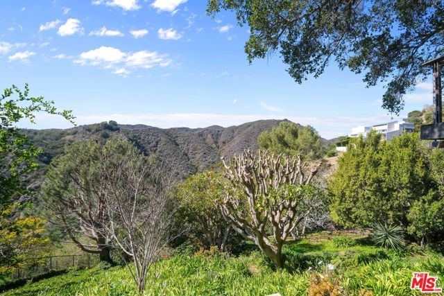 Drew Fenton | 1515 Umeo Road Pacific Palisades CA | MLS: 7254935