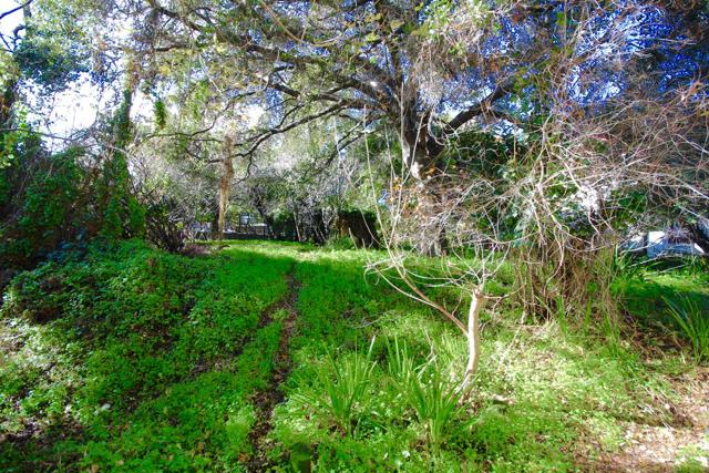 19 S Delaware Street, San Mateo CA: https://media.crmls.org/mediaz/1d0f31a0-7527-43f7-9d8f-56099cb8cf48.jpg