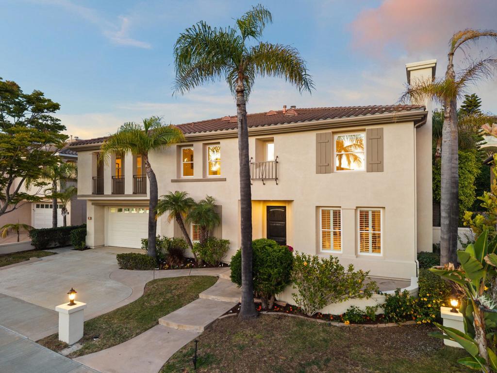 6584 Coneflower - photo 2