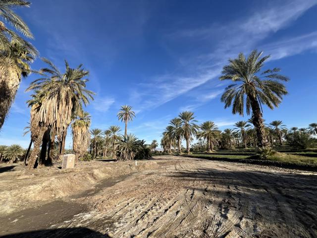 0 Nwc Pierce St & Ave 64, Thermal CA: https://media.crmls.org/mediaz/1d131ac5-4c30-47a0-9acd-ffbc76963333.jpg