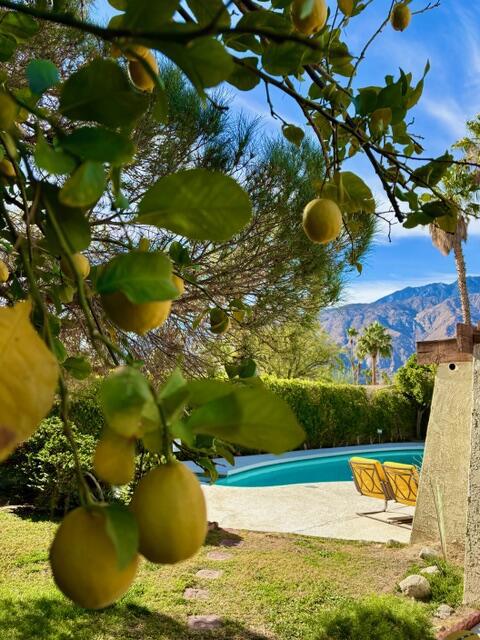 MLS #219139941DA image #61