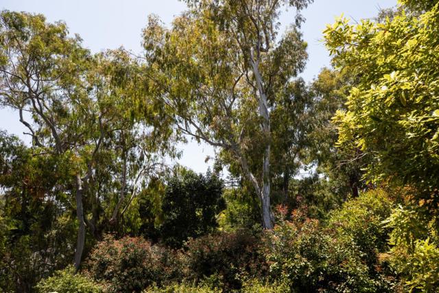 1330 Trinity Drive, Menlo Park CA: https://media.crmls.org/mediaz/1d22236b-0e6a-46d3-bdf4-40595d691c25.jpg