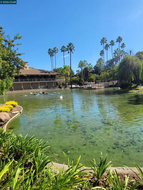 310 N Civic Dr., Walnut Creek CA: https://media.crmls.org/mediaz/1d251c64-9bb3-49aa-a425-af91ee4dd4e2.jpg