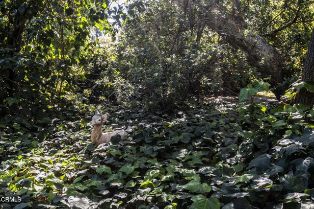 Image 26 of 29 For 1520 Carroll Drive