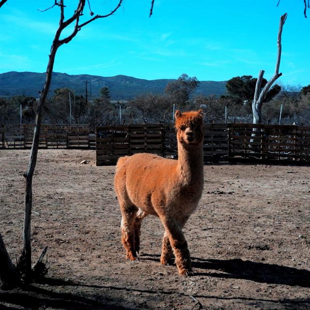 Detail Gallery Image 17 of 17 For 41945 Apple Rd, Anza,  CA 92539 - 3 Beds | 1 Baths